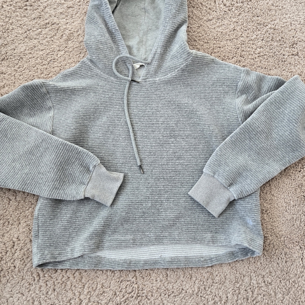 Tavi Noir Semi Cropped Hoodie Womens XS Gray Ribbed Velvet Lounge Athleisure - Picture 8 of 16